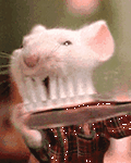 pic for Brushing tooth
